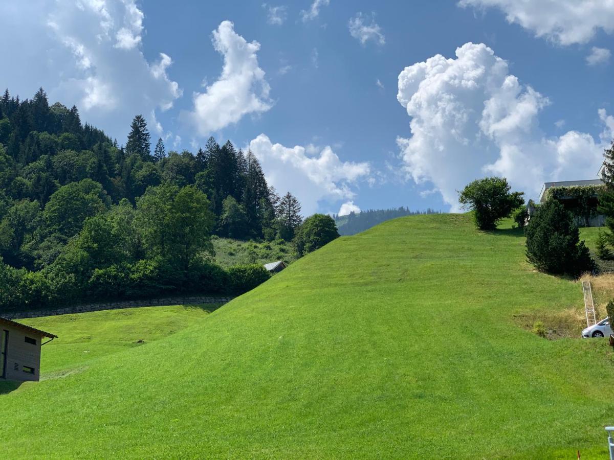Bellevue Bürserberg